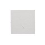 Simon 55 Klawisz pojedynczy z piktogramem /schody/ do: SW6M Aluminium mat