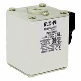 FUSE 315A 1250V 2BKN/75 AR CU Wkładka szybka 315A AC 1250V rozmiar 2 61x75x77 mm aR IEC UL 170M5390