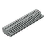 MCS-MIDI Classic gniazdo 22-bieg. szare raster 5 mm /10szt./ WAGO
