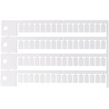 MP6-C Przekaźnik interfejsowy Push-in