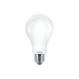 Żarówka LED 13W=120W 2000lm 6500K barwa zimna kulka 120W E27 A67 865 Szkło matowe PHILIPS