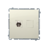 Simon Basic Gniazdo antenowe typu pojedyncze  beż