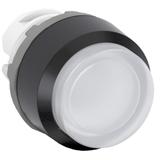 Przycisk wypukły bistabilny przezroczysty podświetlany MP4-11C