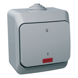 Cedar Plus, łącznik 2-biegunowy z podświetleniem, IP44, szary