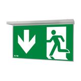 NexiTech LED opal szyba strzałka w dół / strzałka w dół 30m ISO7010 NEXI-PLEXO-DD EATON