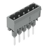 MCS-MIDI Classic wtyk 5-bieg. szary raster 5 mm /200szt./ WAGO