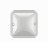 NOWE PLEXO - KLOSZ DO SYGNALIZATORA BEZBARWNY