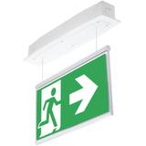 Oprawa ewakuacyjna podtynkowa SUPREMA LED D-std CB IP54 PT-S / współpraca z centralną baterią / 9464
