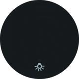 BERKER R.1/R.3 Klawisz nadrukowany symbol światło do łącznika klaw. pojedyncza czarny 16202035 HAGER