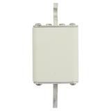 500A 1250V 2/110 aR INDICATOR FUSE Wkładka szybka 500A AC 1250V rozmiar 2 61x75x138 mm aR D 170M5144