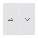 FUTURE Klawisz z nadrukiem Do wyłącznika/przycisku żaluzjowego aluminiowo srebrny