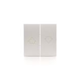 Simon 54 Klawisze do mechanizmu SZP1M srebrny mat