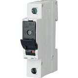 Z-SLS/D01/1 Rozłącznik bezpiecznikowy 1P 16A D01 263155 EATON