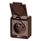 GNT HERMES 2P+Z IP44 BRĄZ