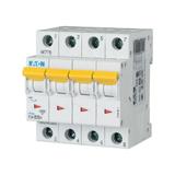 PLSM-C25/4-MW Wyłącznik nadprądowy 10kA C25A 4P 242614 EATON