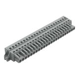 MCS-MIDI Classic gniazdo 23-bieg. szare raster 5 mm /10szt./ WAGO
