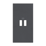 LIVING NOW - PLAKIETKA ŁADOWARKI USB - 2 MODUŁY - CZERŃ, Bticino