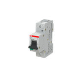 S801N-C13 Wyłącznik nadprądowy 36kA 1P C13A 2CCS891001R0134 ABB