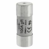 100A 690V AC gR 22X58mm FUSE WITH STRKR Wkładka szybka 100A AC 690V 22x58 gR IEC UL wybij FWP-100G22