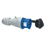 P17 Tempra Pro Wtyczka Przenośna 32A 2P+Z 230V IP44 555234 LEGRAND