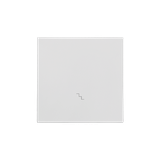 Simon 55 Klawisz pojedynczy z piktogramem /schody/ do: SW6M Jasnoszary mat