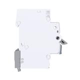 MCB Wyłącznik nadprądowy 6kA 1P B10A QuickConnect MBS110 HAGER