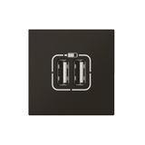 MOSAIC - Ładowarka 2 x USB 2400 mA Typ-A + Typ-A antracyt, Legrand