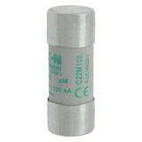 CYLINDRICAL FUSE 22 x 58 100A AM 500V AC Wkładka cylindryczna 22 x 58mm 100A AM 500V AC C22M100 EATO