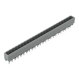 MCS-MIDI Classic wtyk 24-bieg. szary raster 5 mm /50szt./ WAGO