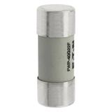 40A 690V AC gR 22X58mm FUSE W/O STRIKER Wkładka szybka 40A AC 690V 22x58 gR IEC UL FWP-40G22F EATON