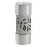 40A 690V AC gR 22X58mm FUSE WITH STRIKER Wkładka szybka 40A AC 690V 22x58 gR IEC UL wybij FWP-40G22F