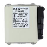 FUSE 350A 1250V 2BKN/75 AR CU Wkładka szybka 350A AC 1250V rozmiar 2 61x75x77 mm aR IEC UL 170M5391