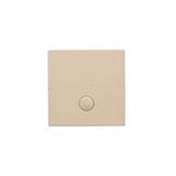 Simon 55 Klawisz pojedynczy z oczkiem z piktogramem /światło/ do: SP1M Szampański mat