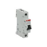 S201M-K15UC Wyłącznik nadprądowy 10kA AC/DC 1P K15A 2CDS271061R0457 ABB