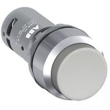 Przycisk wypukły monostabilny 2NO szary CP3-30U-20