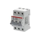 E203/100A gr, rozłącznik