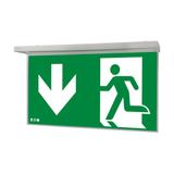 NexiTech LED opal szyba strzałka w dół / strzałka w dół 30m ISO7010 NEXI-PLEXO-DD EATON