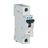 FAZ-C20/1 Wyłącznik nadprądowy 15kA C20A 1P 278562 EATON