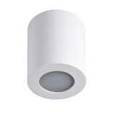 Oprawa sufitowa punktowa SANI IP44 DSO-W 29241 KANLUX