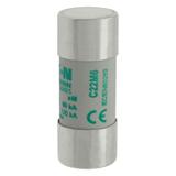 CYLINDRICAL FUSE 22 x 58 6A AM 690V AC Wkładka cylindryczna 22 x 58mm 6A AM 690V AC C22M6 EATON