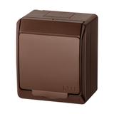 GNT HERMES 2P+Z IP44 BRĄZ