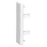 Końcówka Kanału 60X 16Mm Biały Dlplus 60x16/20 030290 LEGRAND