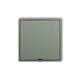 ICON Ramka pośrednia z zaślepką  szałwiowy