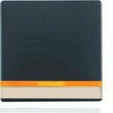 BERKER Q.x Klawisz z 2 dołączonymi soczewkami i z polem opisowym do łącznika 1-klawiszowego antracyt