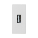 Simon Connect Płytka K45/2 złącza USB typ A żeńskie 225x45mm + gniazdo zaciski śrubowe czysta biel K128B/9 KONTAKT