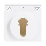 CARAT/FUTURE/SOLO/AXCENT  Pokrywa z polem opisowym. Z nadrukiem Do wyłącznika na klucz i wyłącznika/