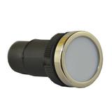 Lampka MD22PB 24V-230V błyskająca bezbarwna