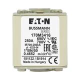 FUSE 250A 690V 1*BN/50 AR UC Wkładka szybka 250A AC 690V rozmiar 1 45x59x51 mm aR I 170M3416 EATON