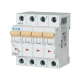 PLSM-C13/4-MW Wyłącznik nadprądowy 10kA C13A 4P 242610 EATON