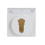 CARAT/FUTURE/SOLO/AXCENT  Pokrywa z polem opisowym. Z nadrukiem Do wyłącznika na klucz i wyłącznika/